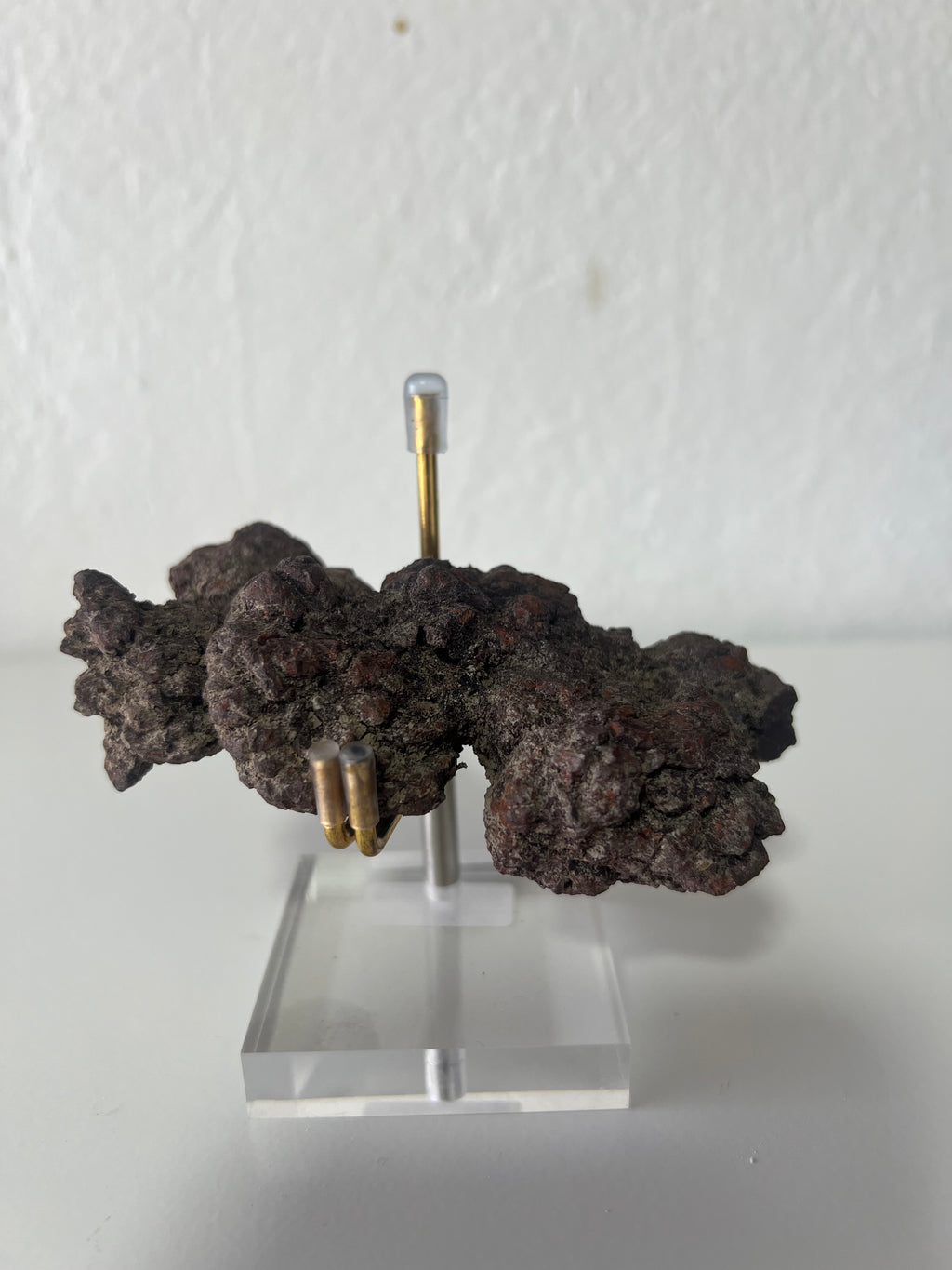 Coprolito de dinosaurio-4x9cm