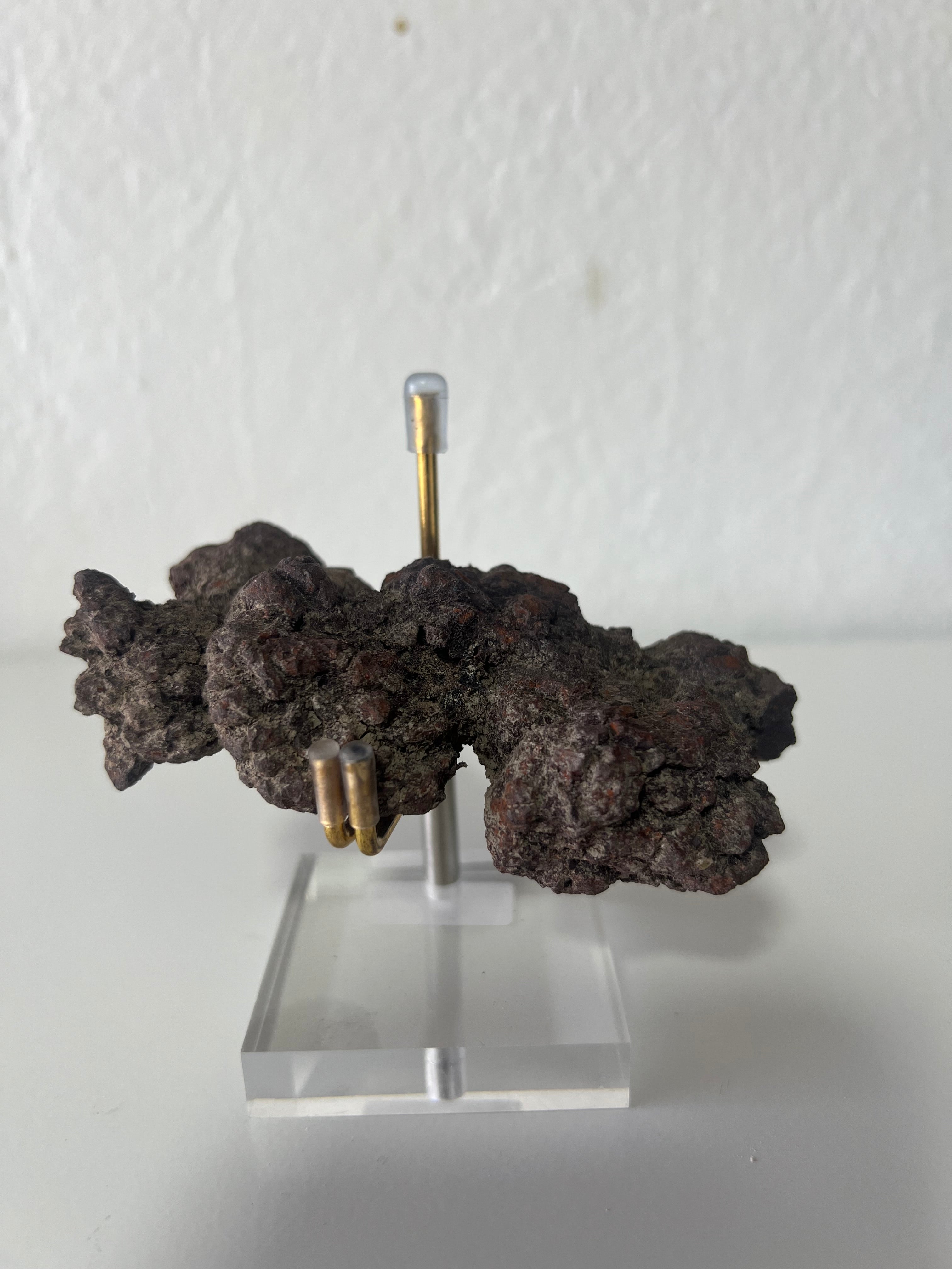Coprolito de dinosaurio-4x9cm