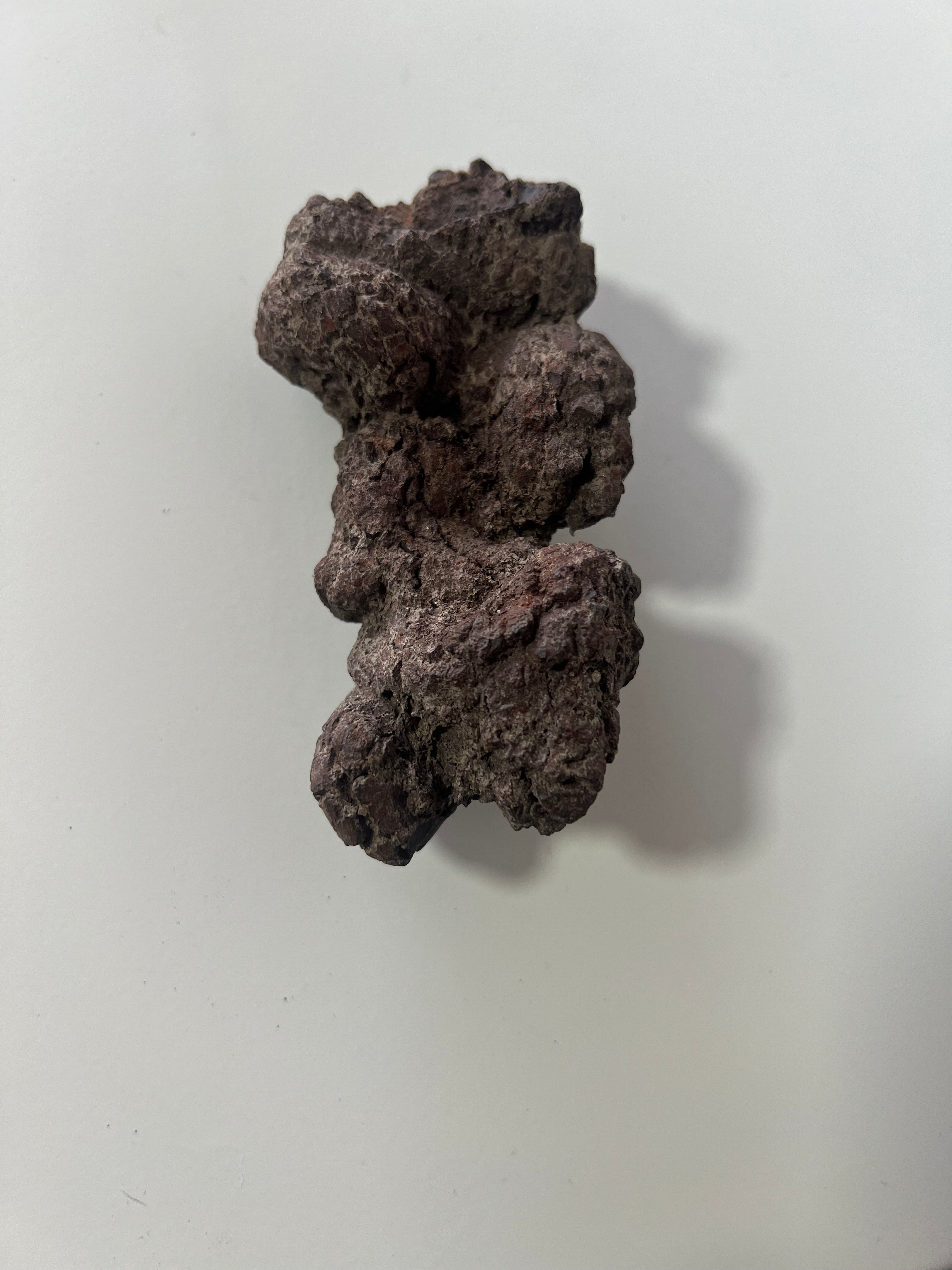 Coprolito de dinosaurio-4x9cm