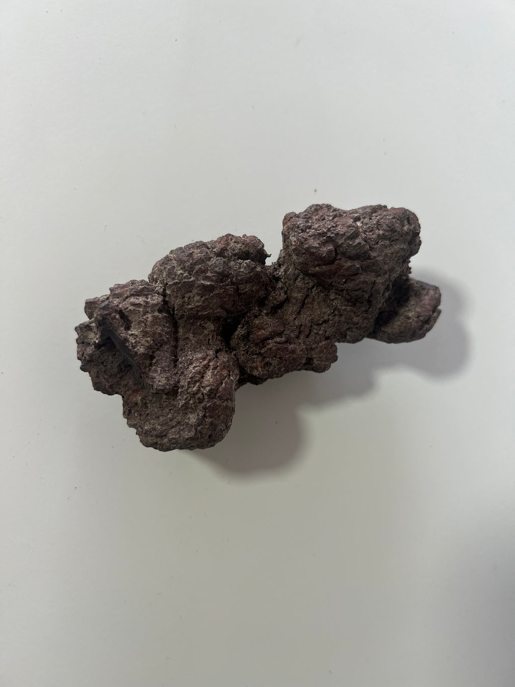 Coprolito de dinosaurio-4x9cm