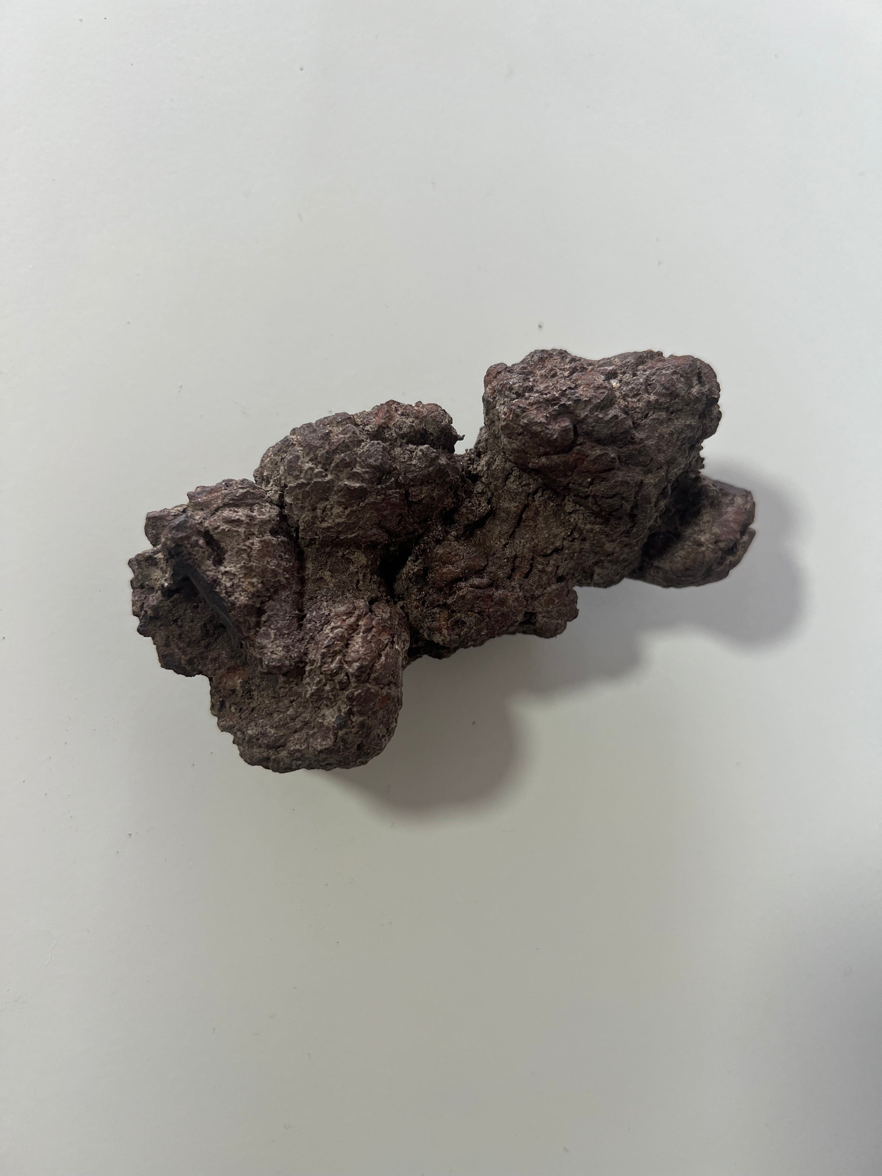Coprolito de dinosaurio-4x9cm