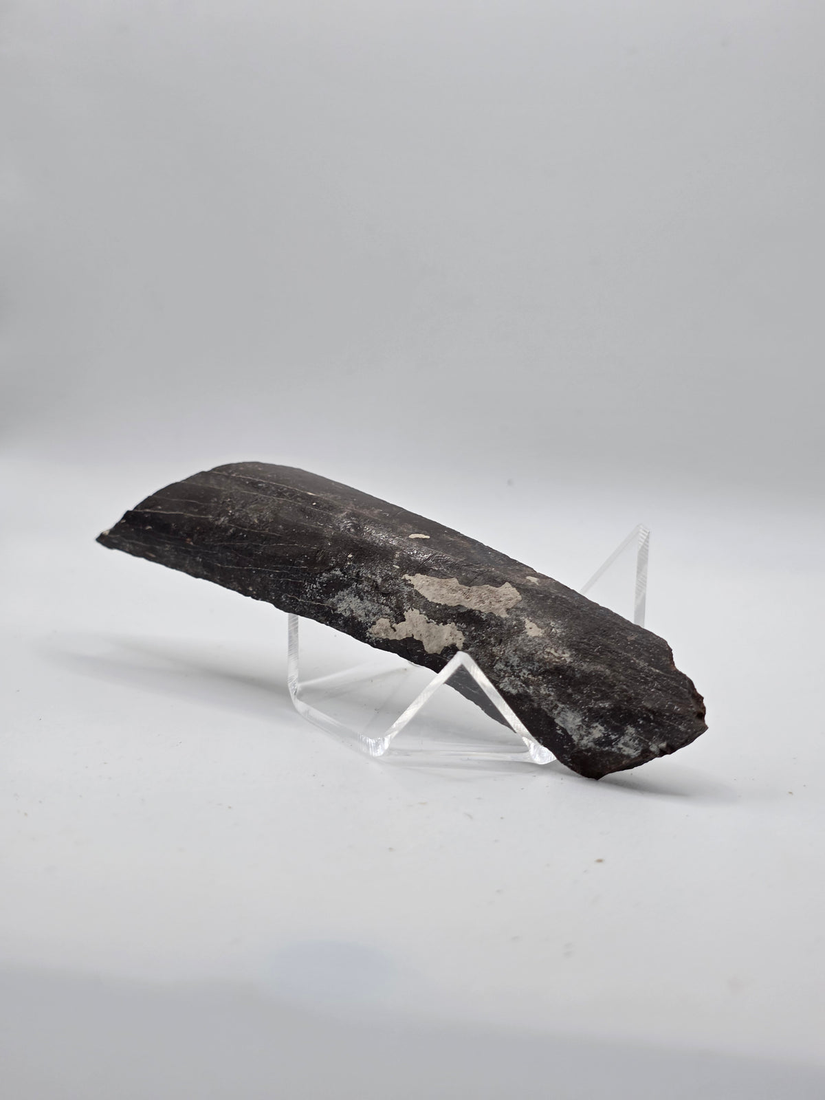 Fragmento de hueso de mamut