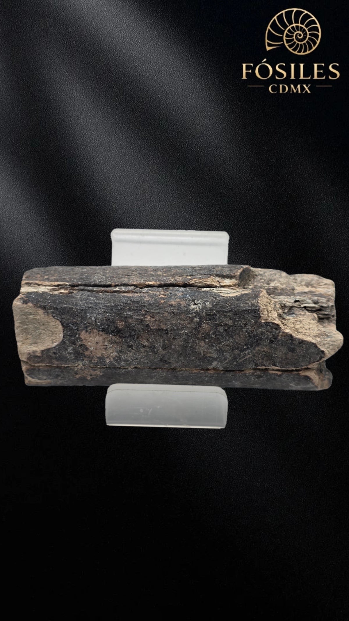 Fragmento de hueso de mamut #13