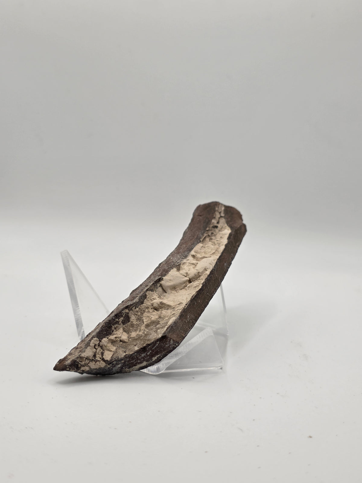 Fragmento de hueso de mamut